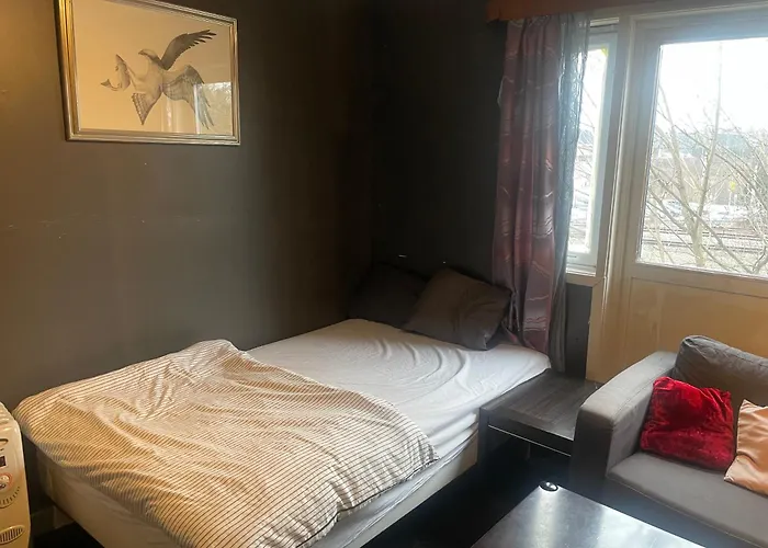 Mojito\'S Room